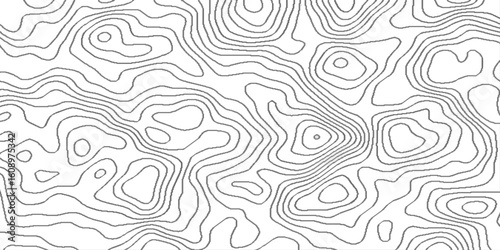 Abstract topographic map, White wave paper curved reliefs abstract background, topographic map pattern simple lines flat graphic design, white landscape with mountains and hills.