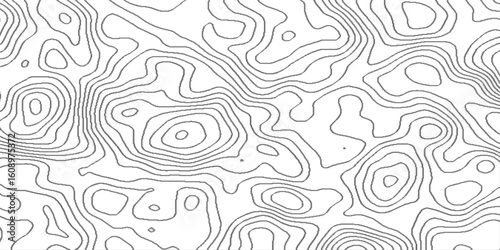 Abstract minimal white curve grid map and topo contour map background, seamless cartography ware frame area contour topo grid map, landscape topography line map wavy texture design.