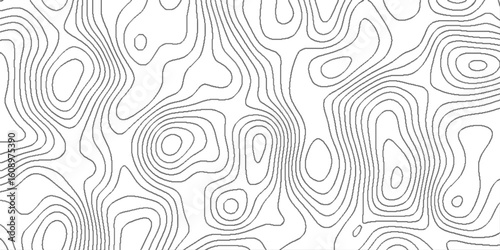 Abstract minimal white curve grid map and topo contour map background, seamless cartography ware frame area contour topo grid map, landscape topography line map wavy texture design.