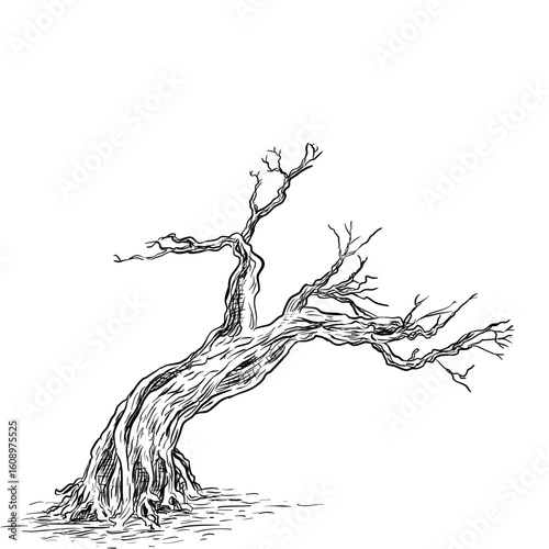 Dead tree handdrawn illustration⁠

