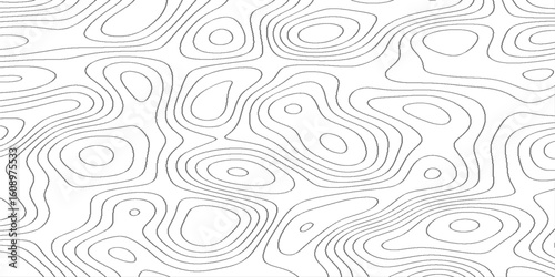 Abstract topography pattern lines sea map area space geometric, creative discovery White wave grid stripe line map topography, modern curve abstract topo map design. 