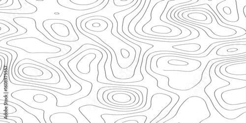 Abstract topography pattern lines sea map area space geometric, creative discovery White wave grid stripe line map topography, modern curve abstract topo map design. 