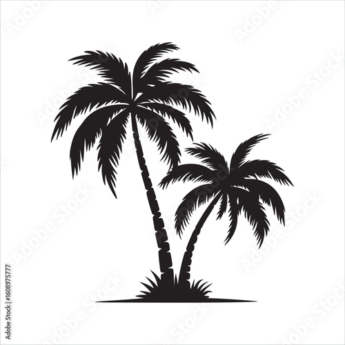 wo Tropical Palm Trees Silhouette Vector