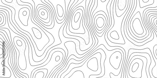 Abstract topo contour map on white background, minimalist pattern with wavy lines, Seamless pattern with lines topographic map, minimalistic luxury design with repeating wave lines, 