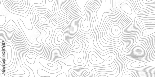 Black and white lines seamless topographic map patterns, topo contour map on white background,  abstract geometric pattern with stains, white wave line paper curved reliefs abstract background.