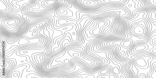 Abstract topo contour map on white background, minimalist pattern with wavy lines, Seamless pattern with lines topographic map, minimalistic luxury design with repeating wave lines, 