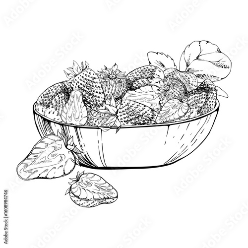 Strawberry berries leaves full and cut in half served in glass bowl, ripe picked garden pineberry strasberry harvest. Isolated illustration hand drawn in vector ink. Farmers market grocery preserves