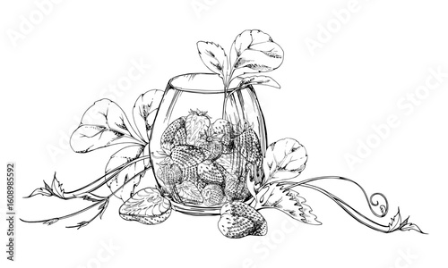 Strawberry full and cut in half served in glass with leaves hand drawn in vector ink. Ripe picked berry pineberry strasberry snakeberry harvest. Isolated illustration. Farmers market grocery preserves
