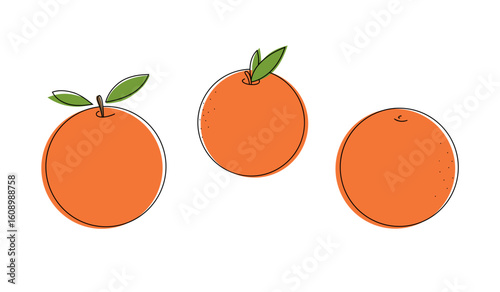 A set of different whole oranges, isolated on white, vector illustration, flat design. Citrus juicy sweet, fresh fruit. Decorative graphic, bright colored element with outline for decoration, poster