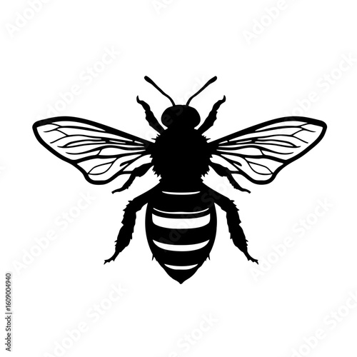 A vector illustration of a hairy insect, a bee or wasp, isolated on a white background with detailed wings