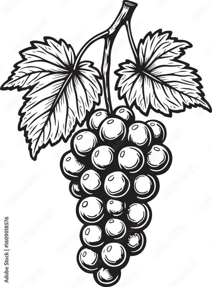 Fototapeta premium Silhouette of a person reading a book isolated on transparent background