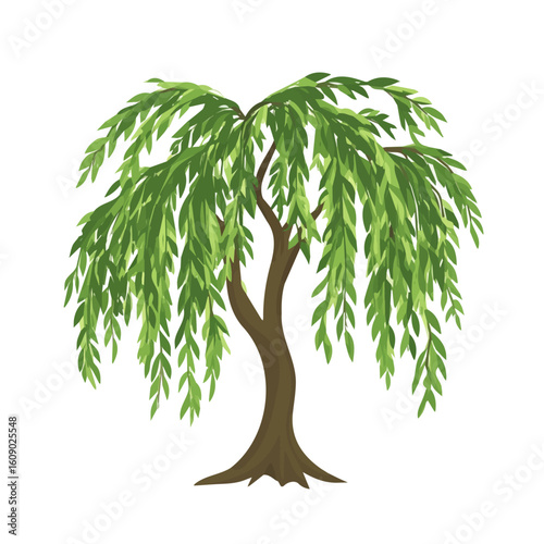 My Simple flat 2D icon of green white willow isolated on a white background, vector design, ideal for animation, vector, web design, digital illustrations, and minimalism. EPS format, vector	