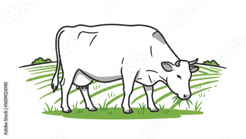 White dairy cow grazing peacefully in green pasture, a symbol of farm life and fresh milk