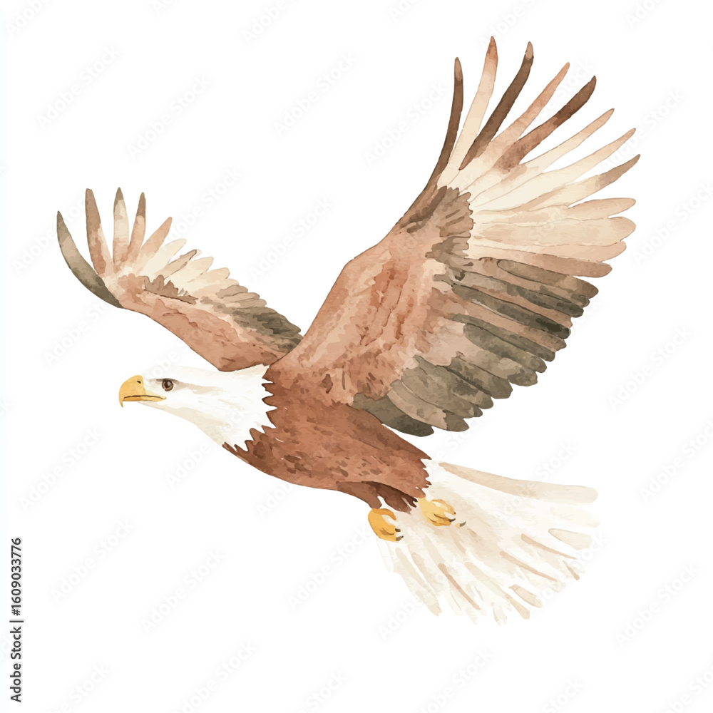Obraz premium a cute animal of Eagle flying