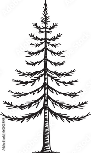 Abstract geometric shape silhouette isolated on transparent background