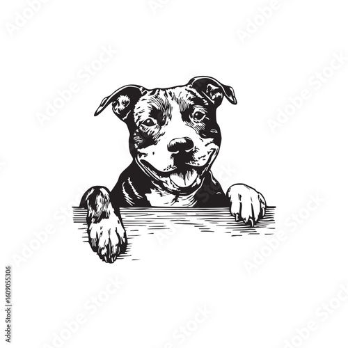 Black and white sketch of a happy Pit Bull peeking over.