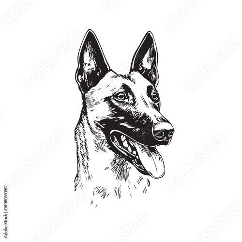  Black and white sketch of a panting German Shepherd head.