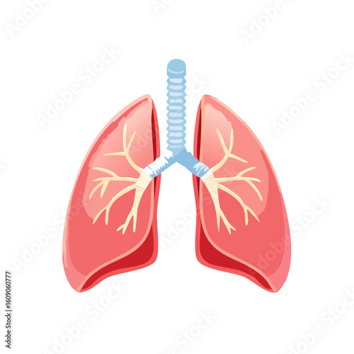 Human Lungs with Trachea Isometric Icon