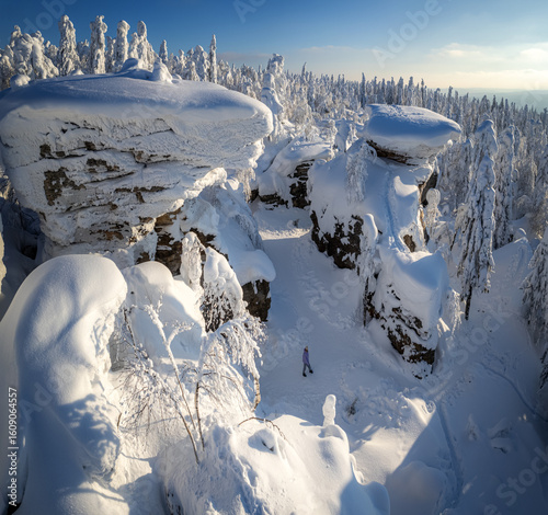 winter landscape with snow-covered taiga, Russia