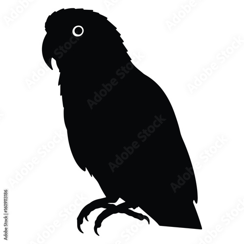 Silhouette of a lovebird bird in black and white for artistic creative design projects