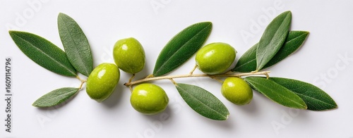 Wallpaper Mural The vibrant green olives arranged elegantly on a refreshing olive branch. Torontodigital.ca