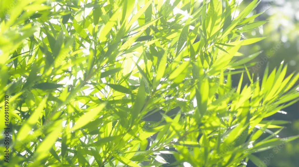 Fototapeta premium Lush Green Foliage Illuminated by Sunlight