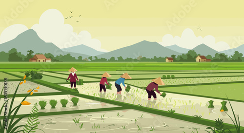 Asian farmers working in lush rice paddy field with scenic mountain backdrop. Vector illustration