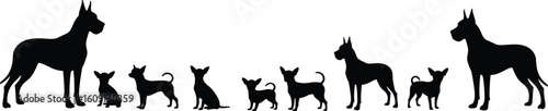 Silhouette of large Great Danes and tiny Chihuahuas, dog breed size comparison, pet vector graphic, black outline dogs, isolated illustration, animal design element