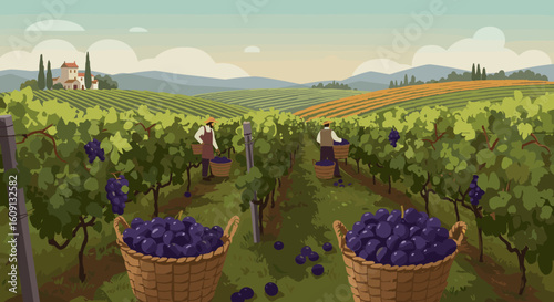 Scenic vineyard with farmers harvesting grapes in picturesque countryside setting. Vector illustration