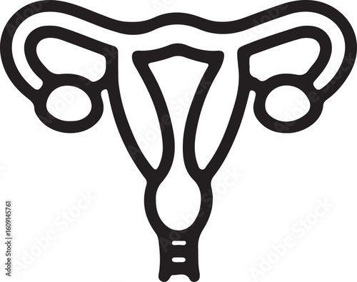 Black and white line art of female reproductive system