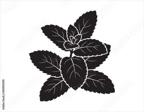 A plant used to garnish food and drinks is greenery.

