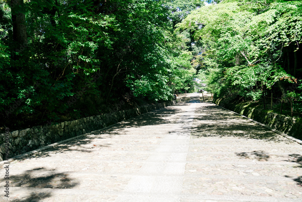 Obraz premium 京都の西山のお寺