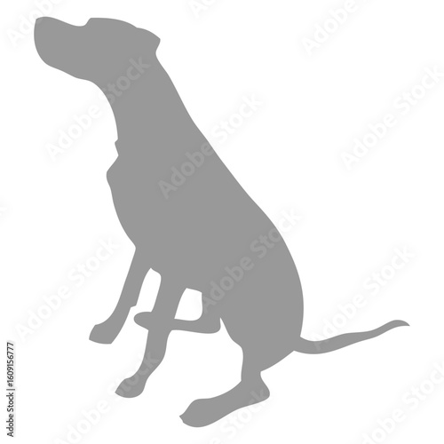 dog icon shadow_3