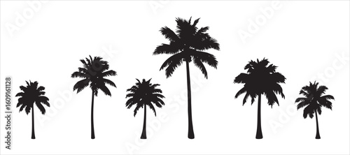 Bunch of Palm Tree Silhouettes against a white background

