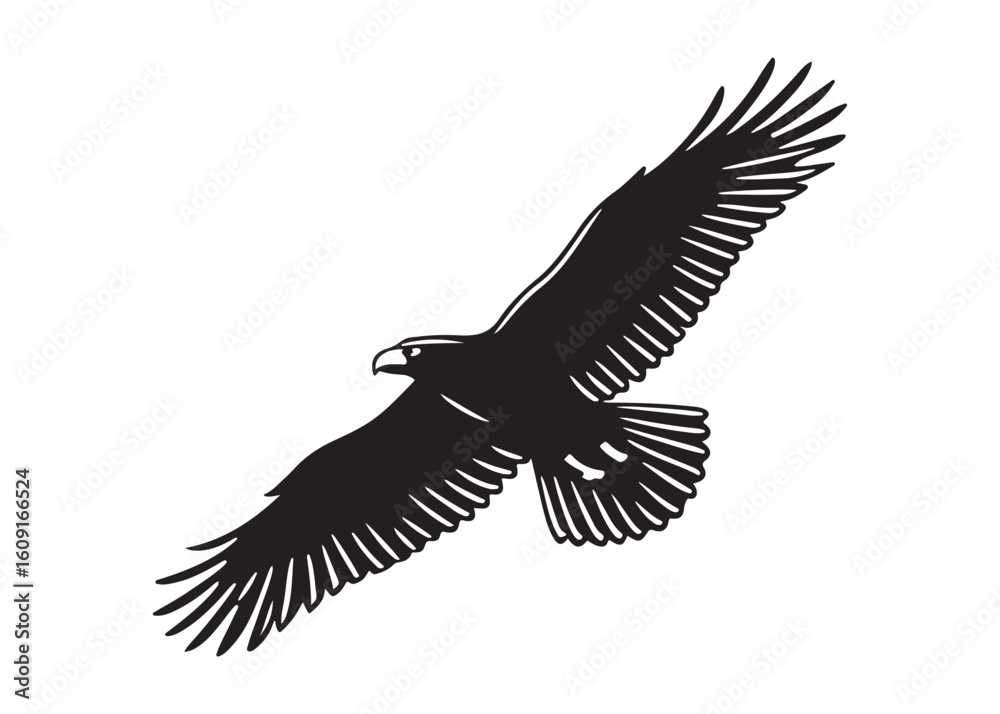 Fototapeta premium Powerful Bald Eagle in Flight: Black and White Vector Illustration, Freedom Symbol.