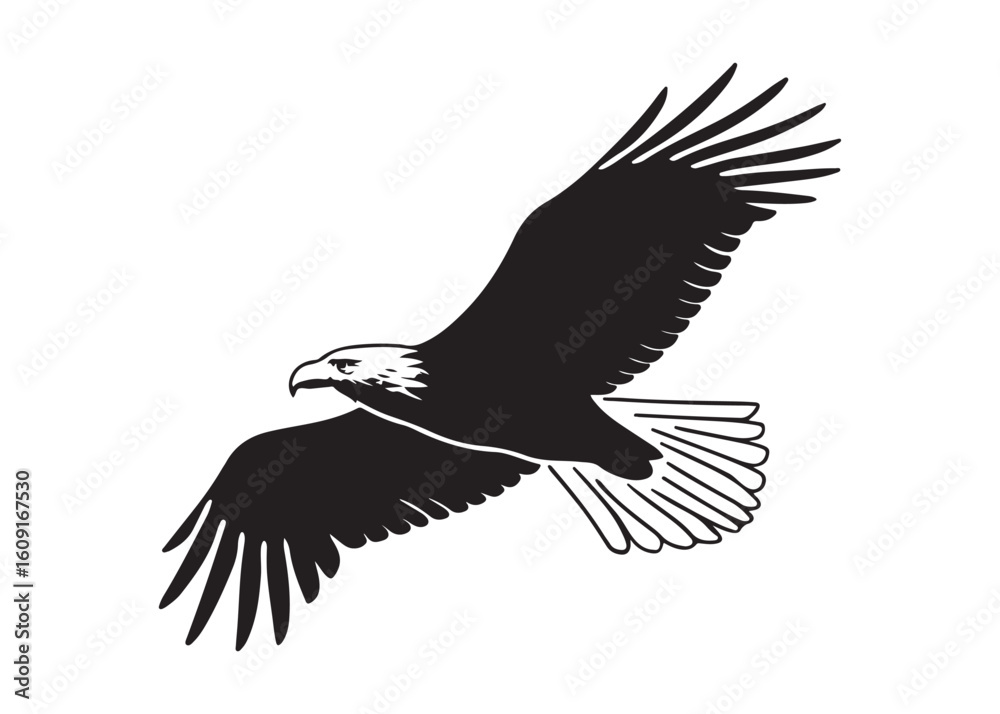 Obraz premium Powerful Eagle in Flight: Monochrome Vector Illustration, Freedom and Soaring Concept.