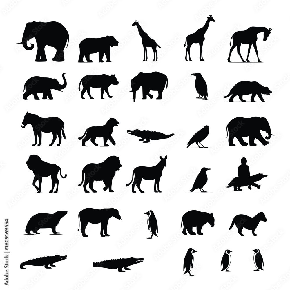 Silhouette illustrations of various animals including mammals birds and reptiles on a white background Silhouette illustrations of various animals including mammals birds and reptiles on a white background