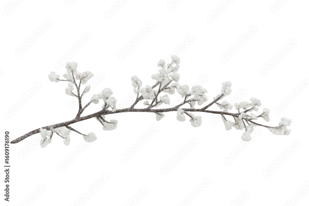 Fototapeta premium Capture Winter, Branch Covered in Snow Details with a Festive Mood