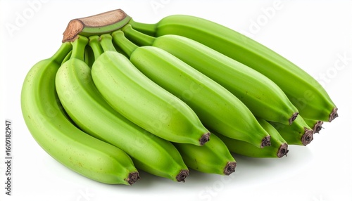 “Still Growing: The Promise of Green”