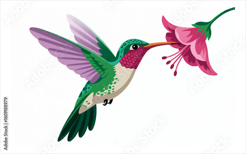 Hummingbird feeding on pink flower flying