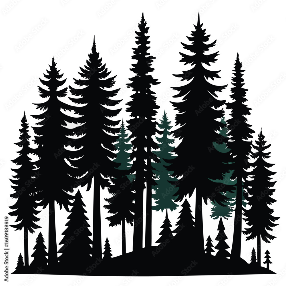 Obraz premium Silhouette of a dense forest of tall coniferous trees