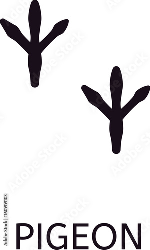 Pigeon footprint featuring three distinct toes and a spur, isolated against a clean white background, serving as a valuable resource for animal identification and educational activities