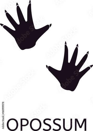 Black silhouette of opossum paws walking across the ground, leaving distinct footprints behind. Isolated vector illustration set against a clean white background