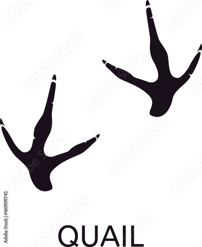 Black silhouette of quail footprints on a white background, featuring three toes pointing forward and one backward, ideal for wildlife identification and nature studies