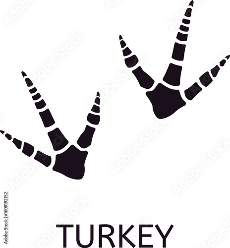 Turkey footprints are identifiable by their three long toes and a spur or dewclaw, and these prints provide clues about the turkey's movement and behavior in its natural habitat