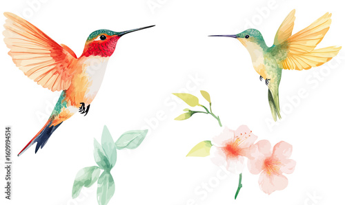 Watercolor hummingbirds in flight with delicate green leaves and soft pink hibiscus flowers isolated on white background vector illustration nature bird wildlife art design elements