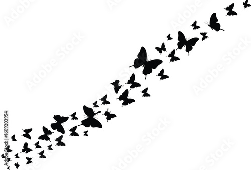 Butterfly silhouette vector, flying butterflies clipart, swarm butterfly design, black insect pattern, nature tattoo element, fluttering butterfly art, abstract winged insect graphic
