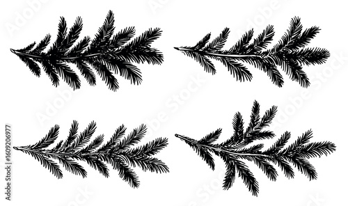 Christmas black tree branch hand drawn on white