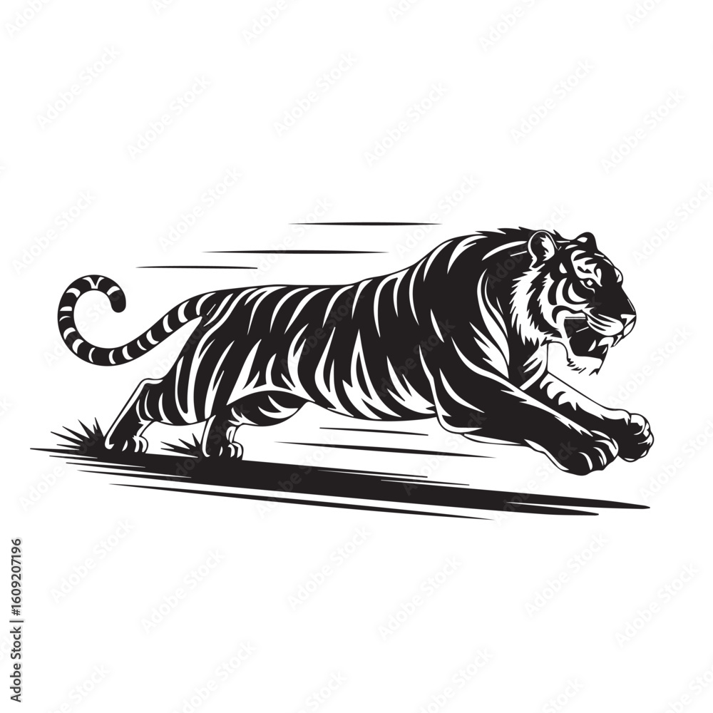 Fototapeta premium Powerful Tiger Leaping Forward in Black and White Vector Illustration Strong Feline Wildlife Concept Design for Prints