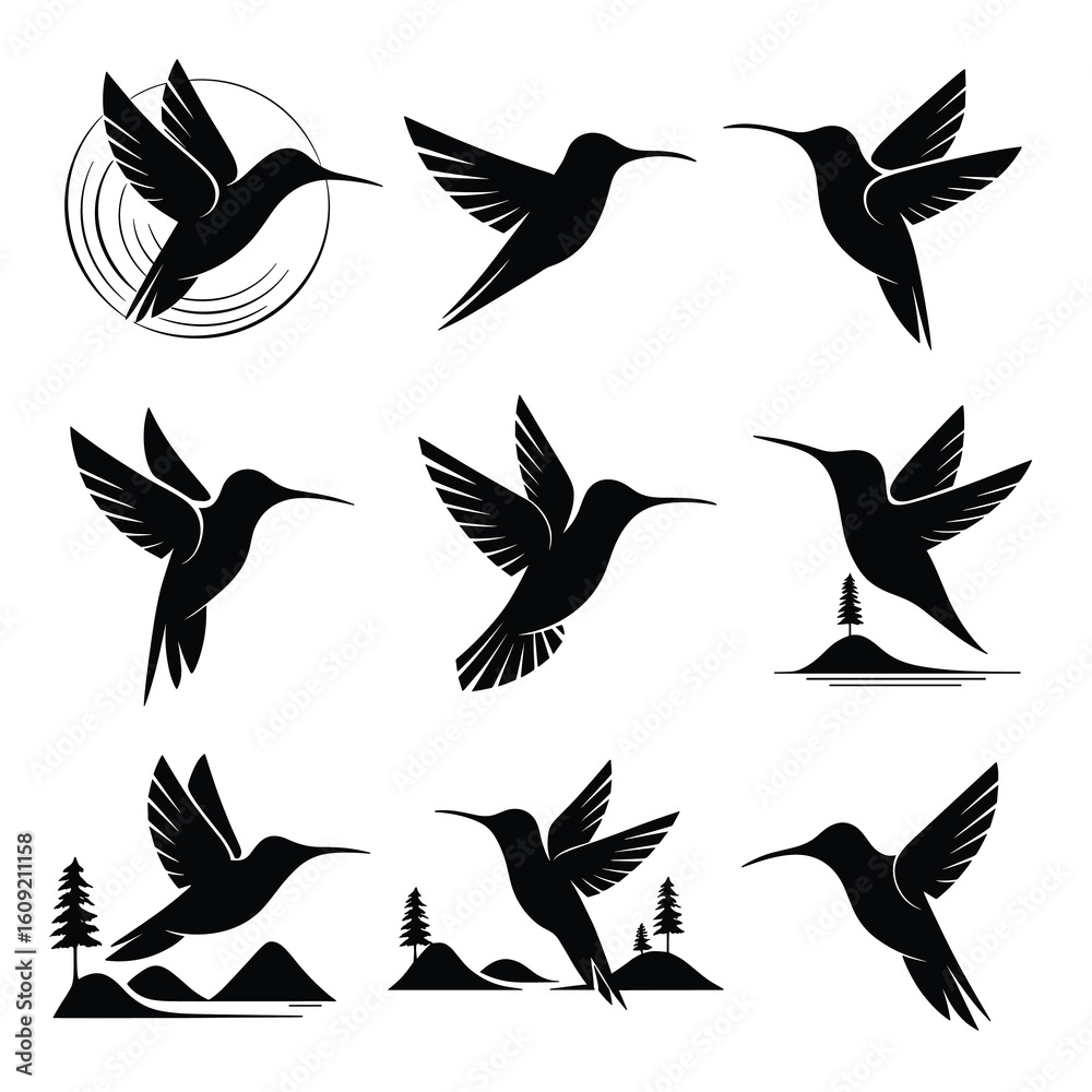 Fototapeta premium Black and white hummingbird silhouettes in various poses and settings
